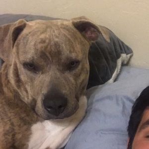 Meet your Posher, Dylan